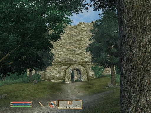 Elder Scrolls IV: Oblivion, The - Дневник имперского гастарбайтера. Том третий.